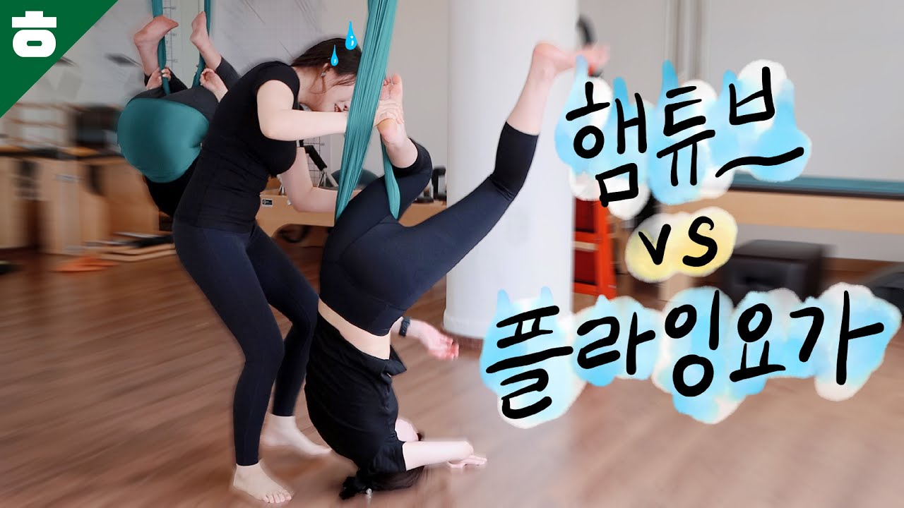 플라잉 요가 VS 햄튜브