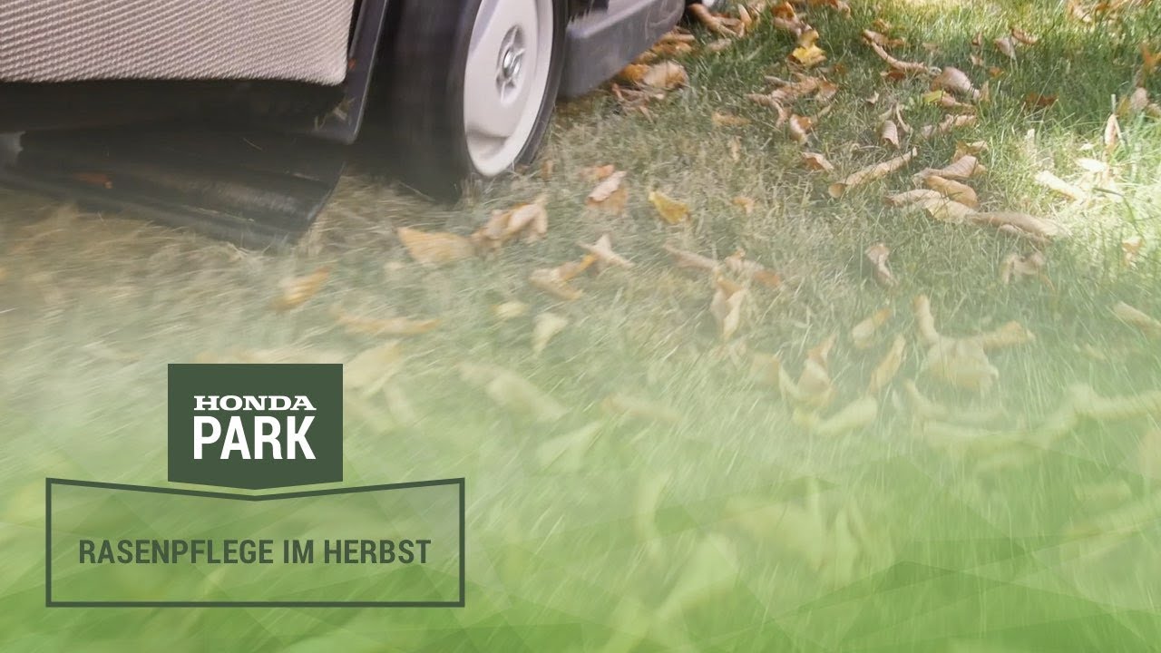 So bereitet ihr euren Rasen auf den Winter vor. Rasenpflege im Herbst mit G&auml;rtner John