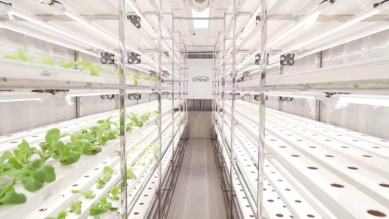 Lyine NFT Container Farm: Your High-Density 