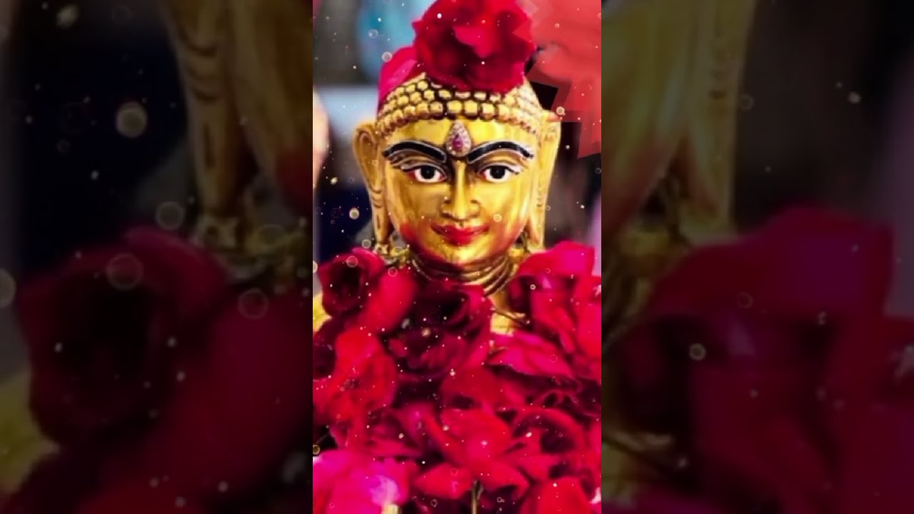 Jain Shorts Stavan | Non Stop | Namo Girivaram