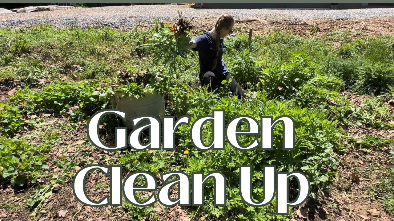 Garden With Me | Weeding & Tidying My Garden