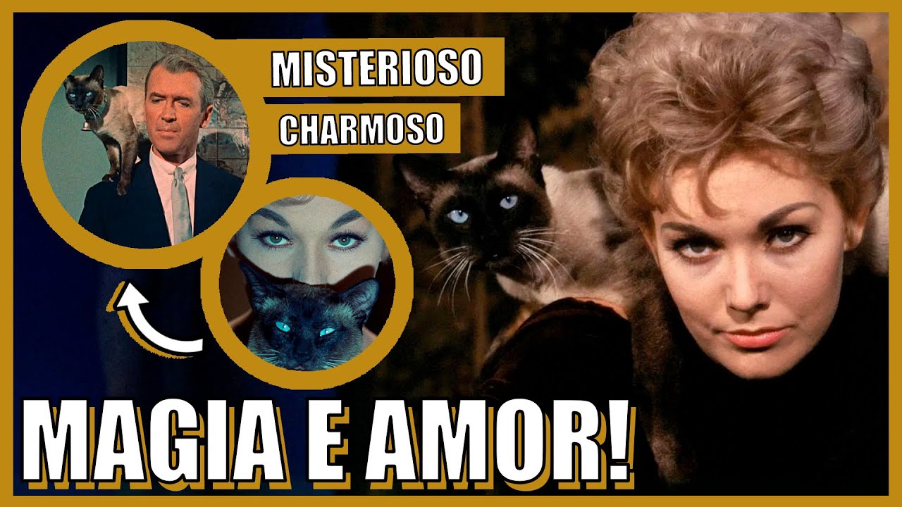 SORTILÉGIO DE AMOR - Bruxaria encantadora! (CRÍTICA SEM SPOILER)