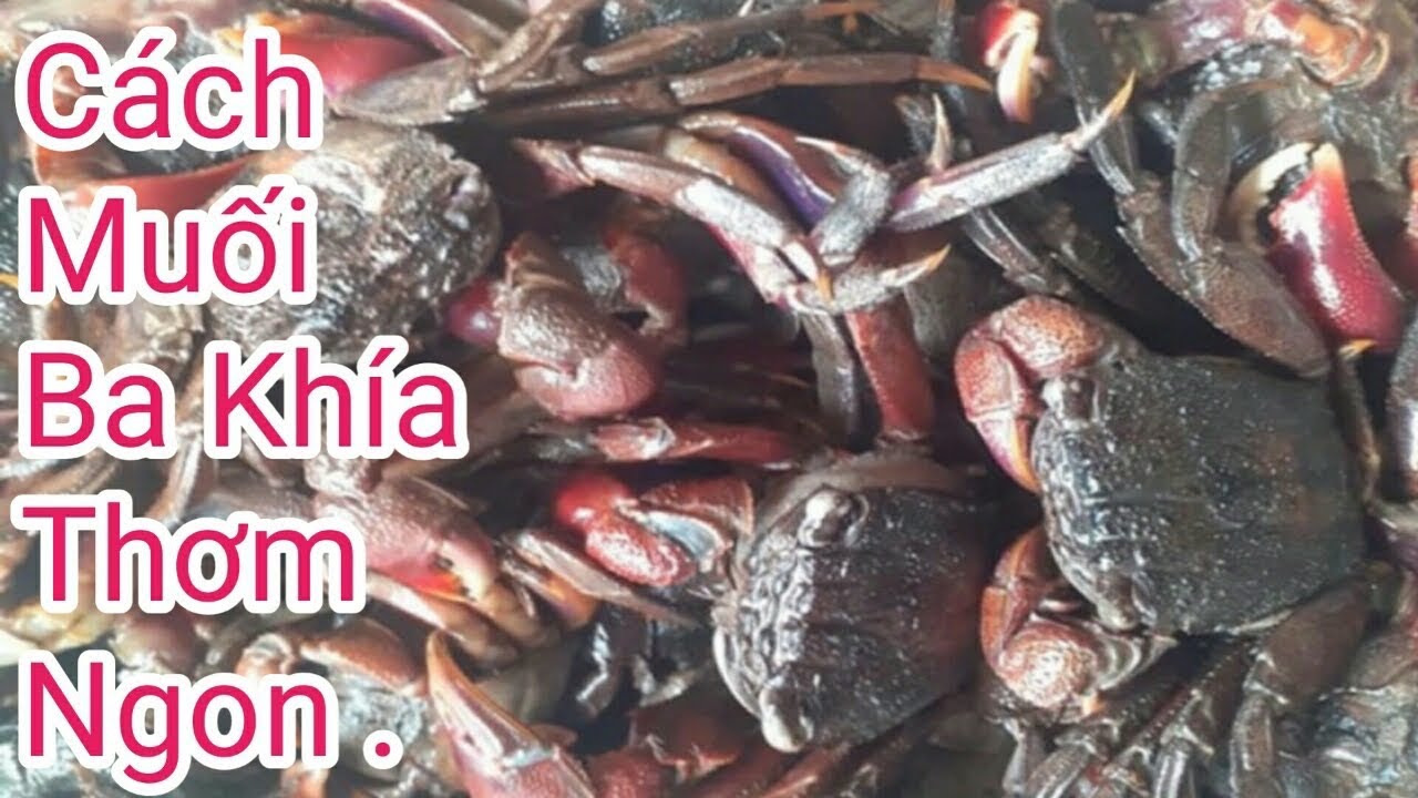 C&aacute;ch Muối Ba Kh&iacute;a Thơm ,Ngon, M&agrave;u Đẹp  Ăn Ko Bị Đau Bụng .