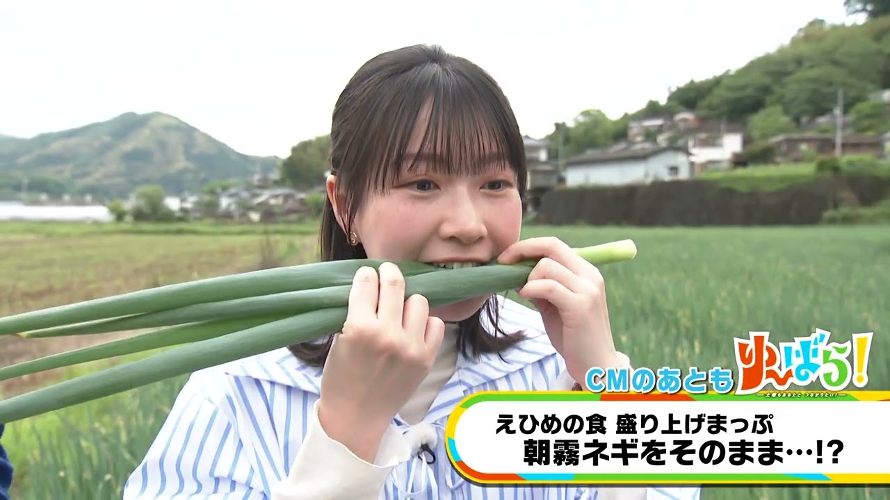 【ゆ～ばら！】えひめの食盛り上げまっぷ　西予市野村町で注目の野菜「朝霧ネギ」の生産者を訪ねます