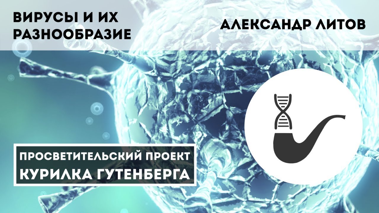 Вирусы и их разнообразие – Александр Литов