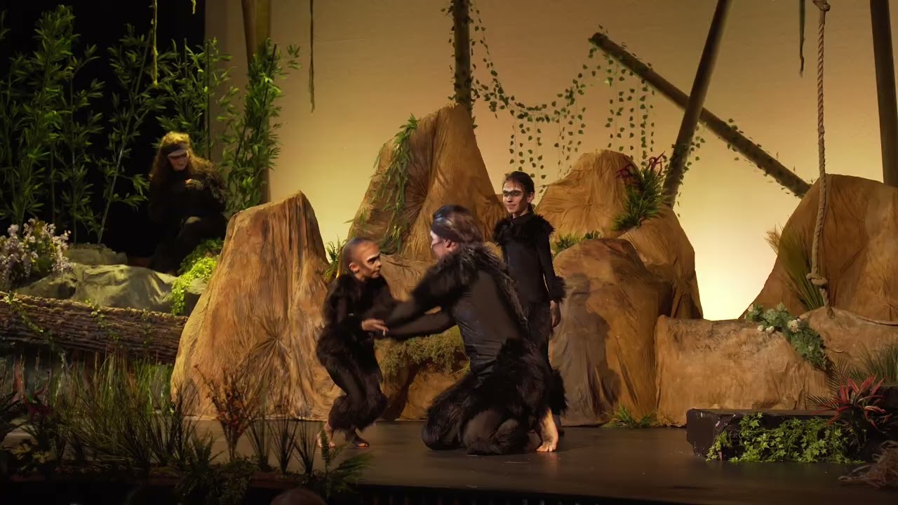 Highlights Tarzan