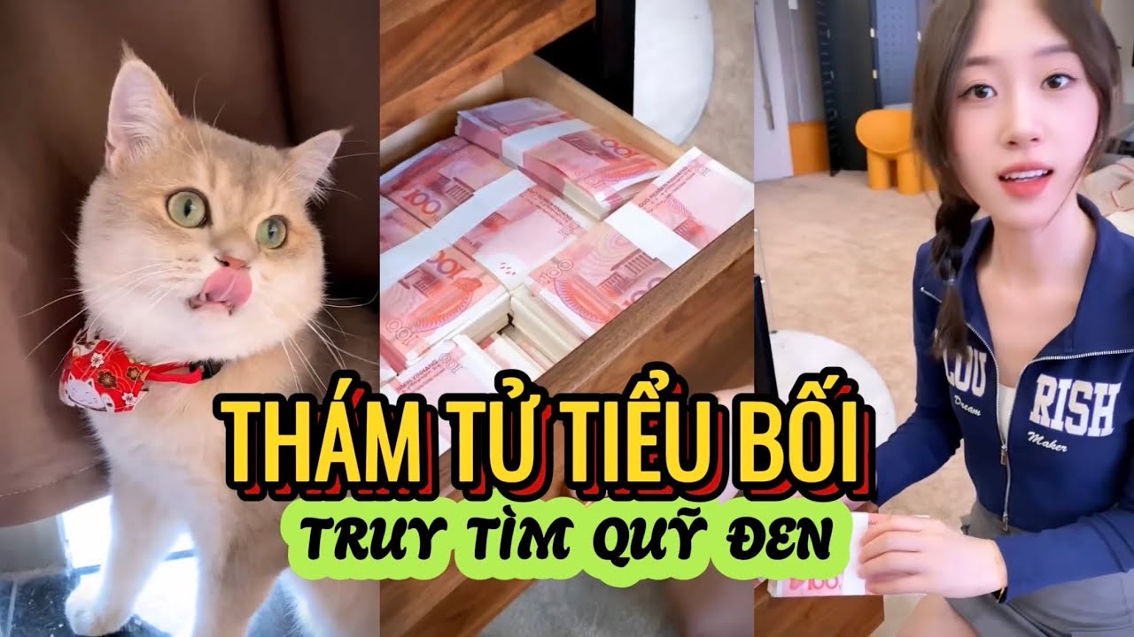 Tổng Hợp Thám Tử Tiểu Bối Truy Tìm Kho Báu Và Quỹ Đen Phần 8 - Thông Minh Đáng Yêu | Tony Reviews