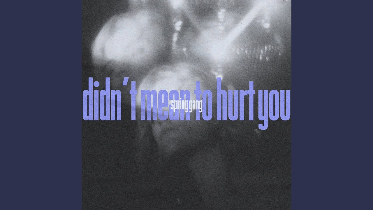 Didn't Mean to Hurt You