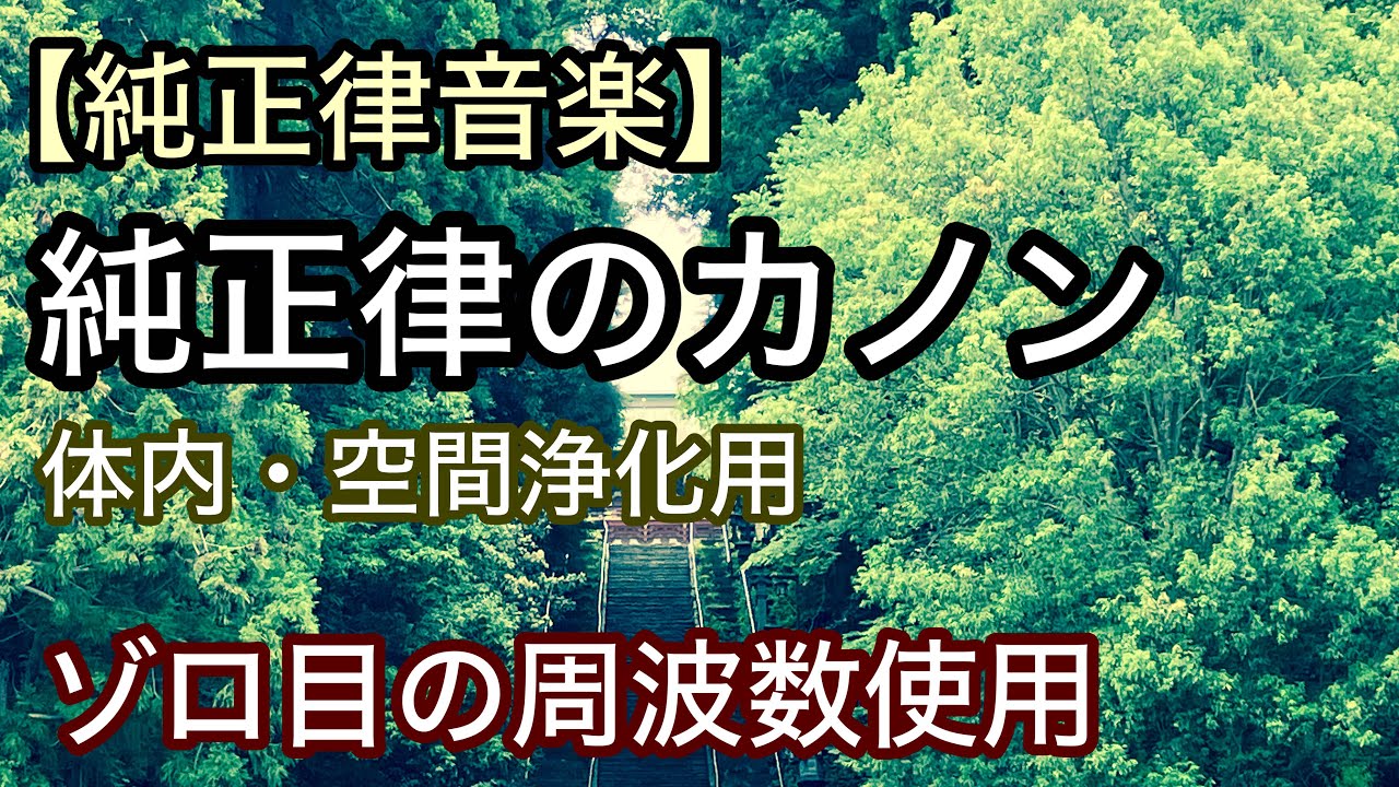 純正律のカノン【ゾロ目の周波数使用】【体内・空間浄化用音楽】