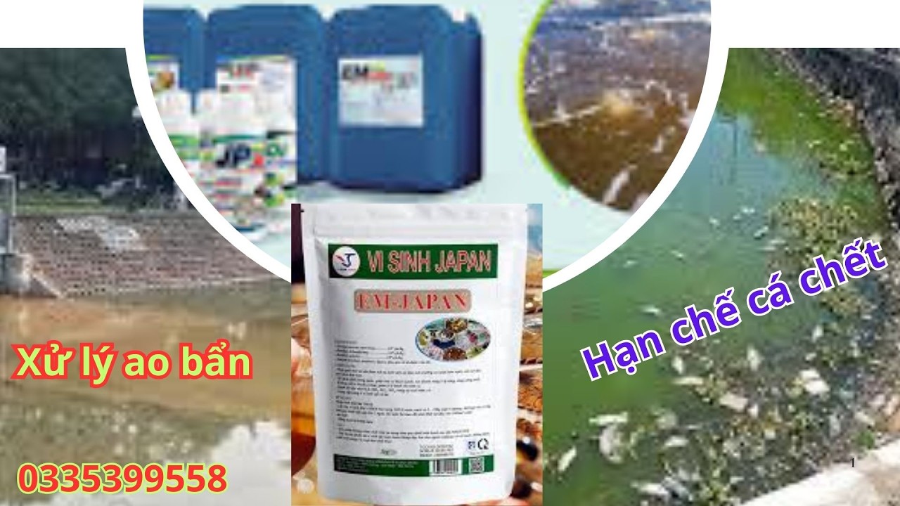 Men vi sinh JaPan , Ủ đạm cá, Ủ phân chuồn, xử lý mùi hôi chuồn trai, xử lý nước bẩn ao hồ