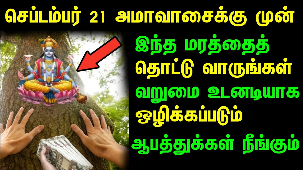 பித்ரு பக்ஷத்தில் இந்த மரத்தை தொடுங்கள்! பண பற்றாக்குறை, தோஷம், சிக்கல் எல்லாம் ஒரே நாளில் தீரும்! 