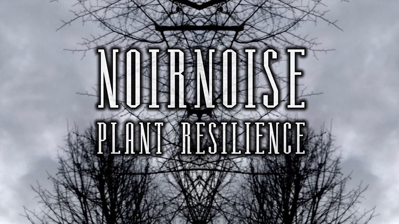 NOIRNOISE - Plant Resilience (FULL ALBUM)