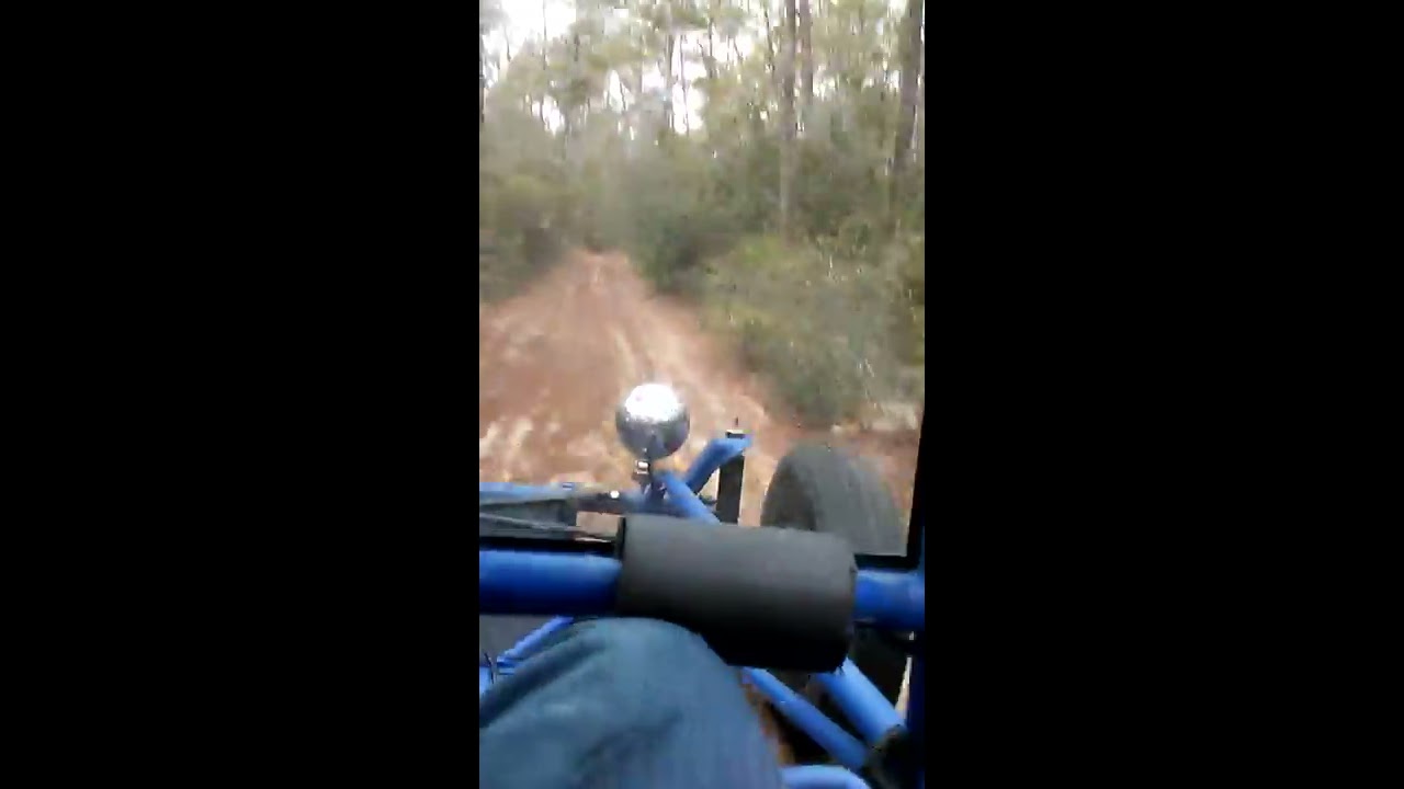Riding buggies in ocala
