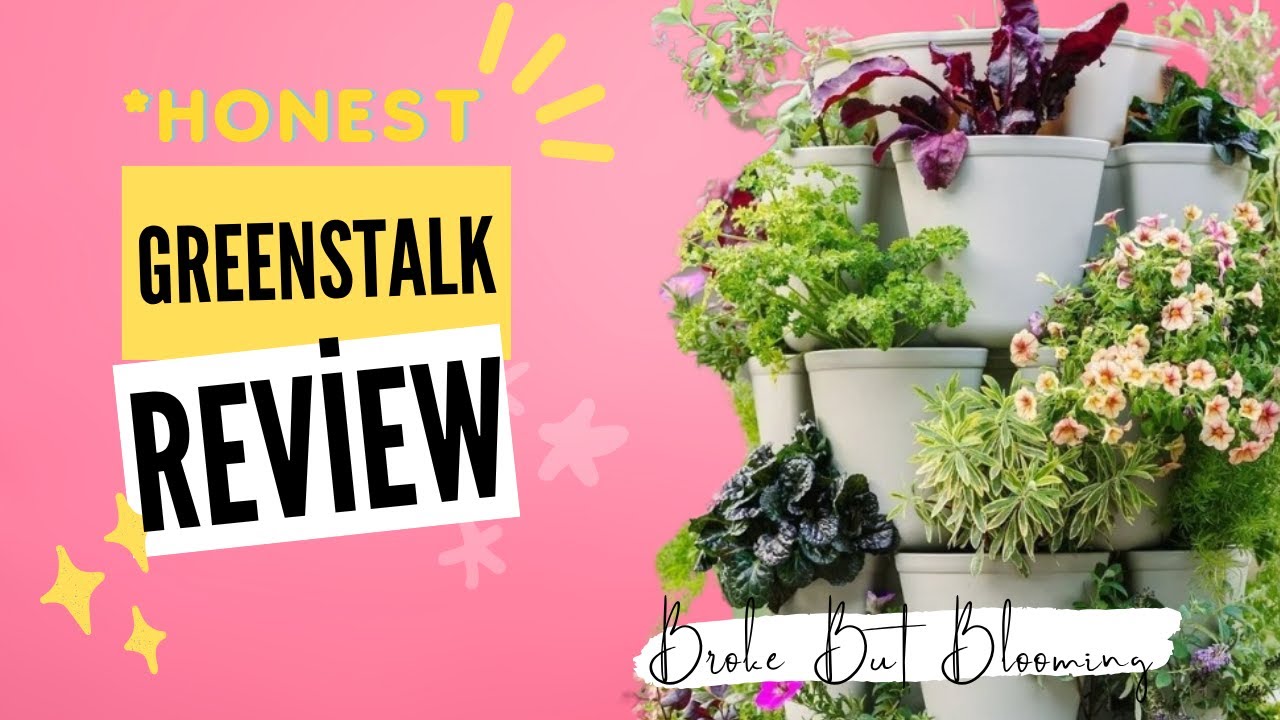 Are Greenstalks REALLY Worth The Hype? My Honest Review After 3 Years