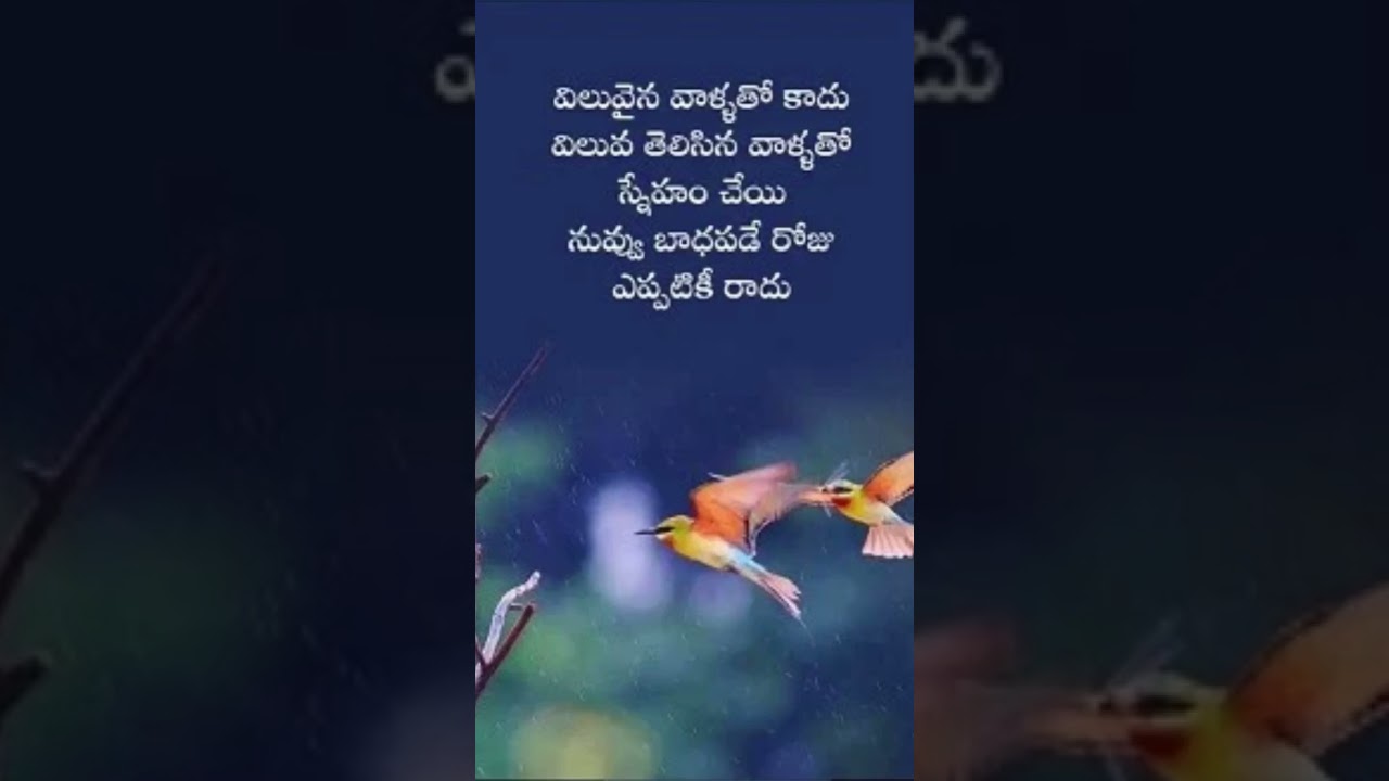 Motivational quotes in Telugu | Life lessons| Friendship quotes| #sukthulu #quotes