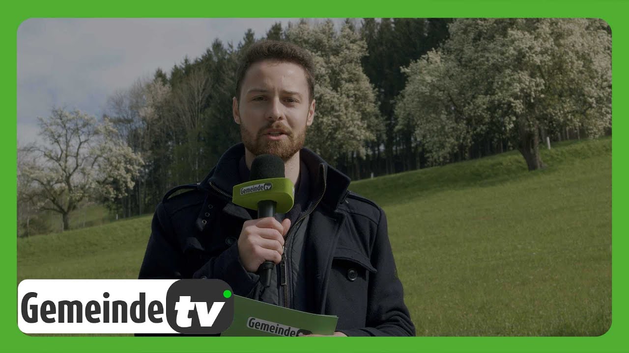 Die Stadt bl&uuml;ht - Der aktuelle Newsflash aus dem Bezirk Amstetten