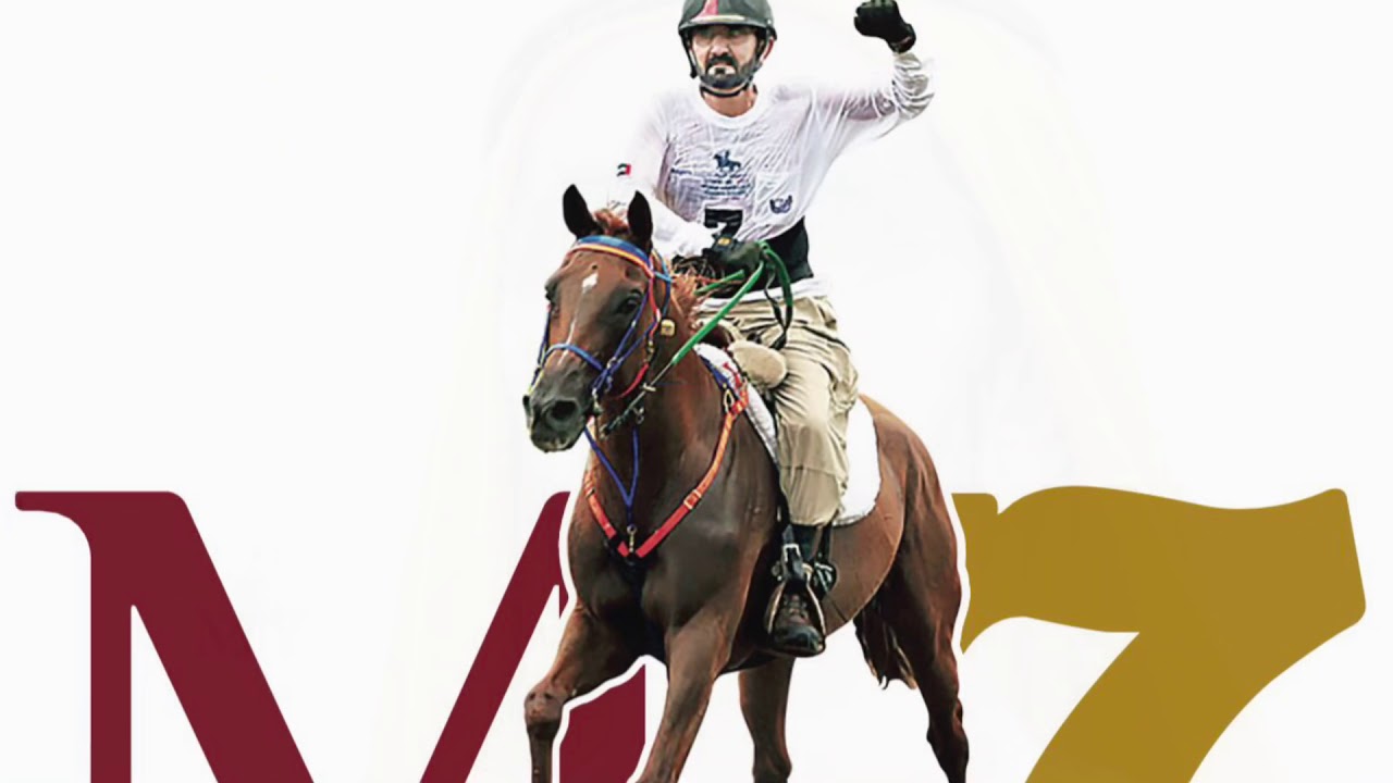 السبق فاله طويل العمر - M7 stables