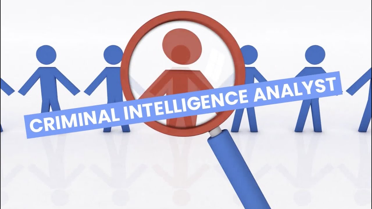 Discover Careers: Criminal Intelligence Analyst | Sortyourfuture
