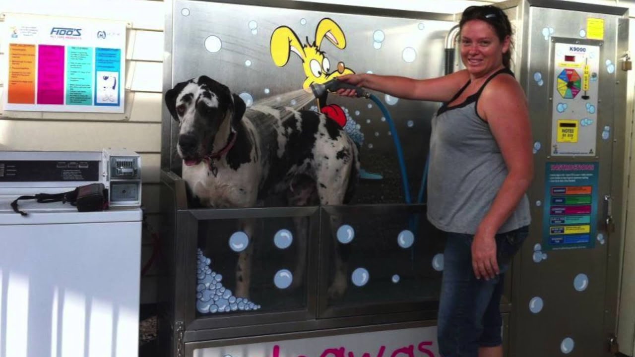 Gympie West Store: K9000 Dog Wash Testimonial