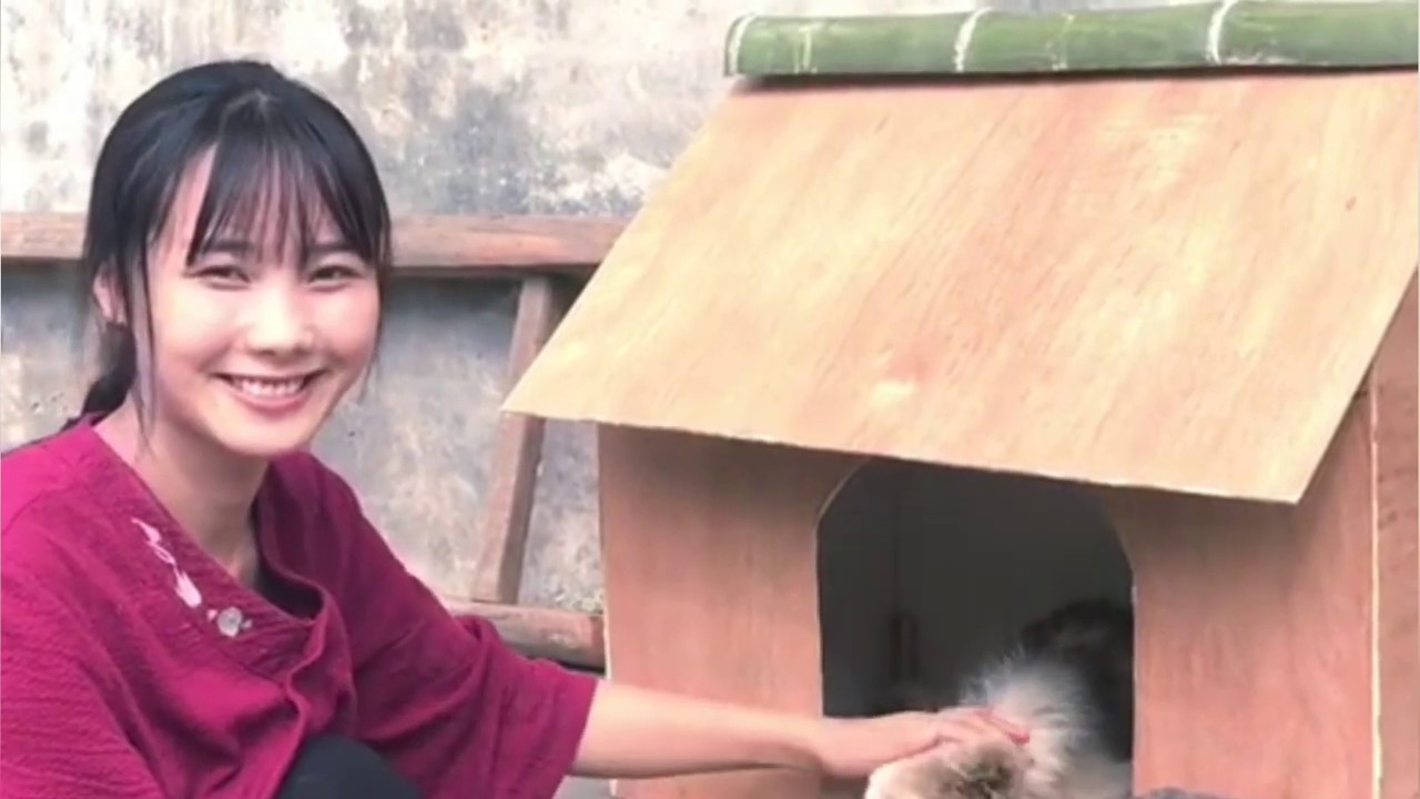 （狗狗屋）Dog house