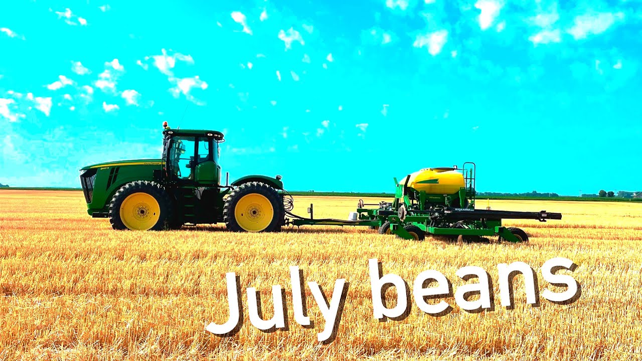 Planting Double Crop Soybeans in July in Illinois