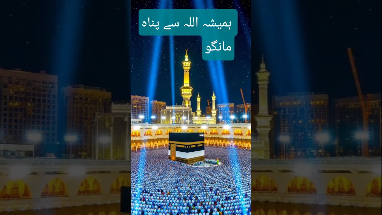 peace through Islam &hearts;️&hearts;️&hearts;️&hearts;️&hearts;️