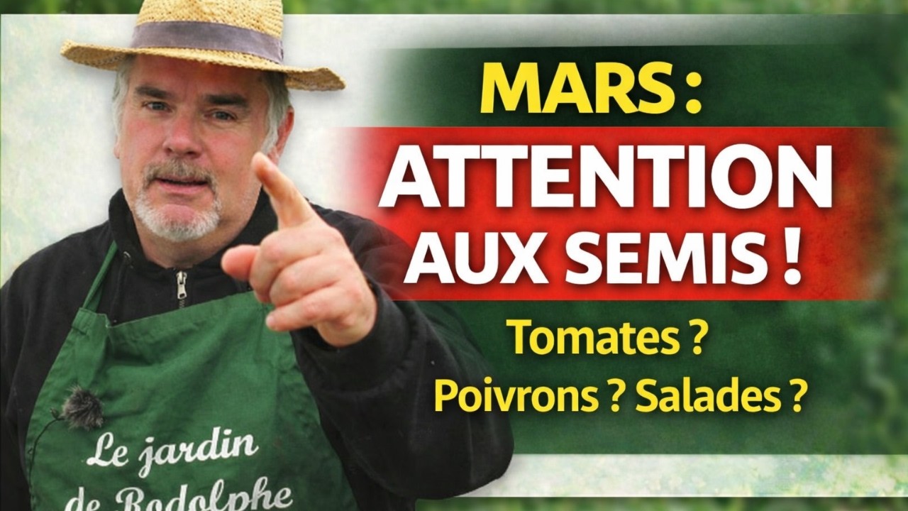 Mars au potager : quoi semer pour prendre de l’avance dès le printemps