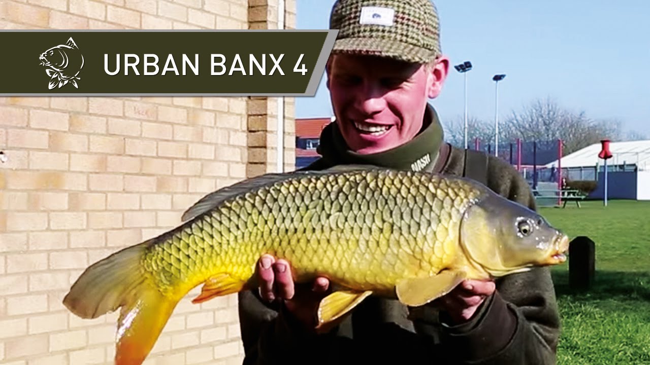 Urban Park Lake Carp Fishing - Urban Banx 4 with Alan Blair - Northlands Park Basildon - Nash Tackle