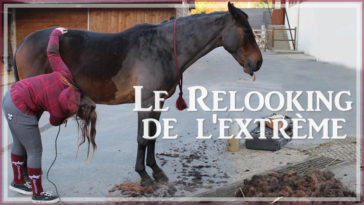 [ SOINS ] Le Relooking de l'Extrême