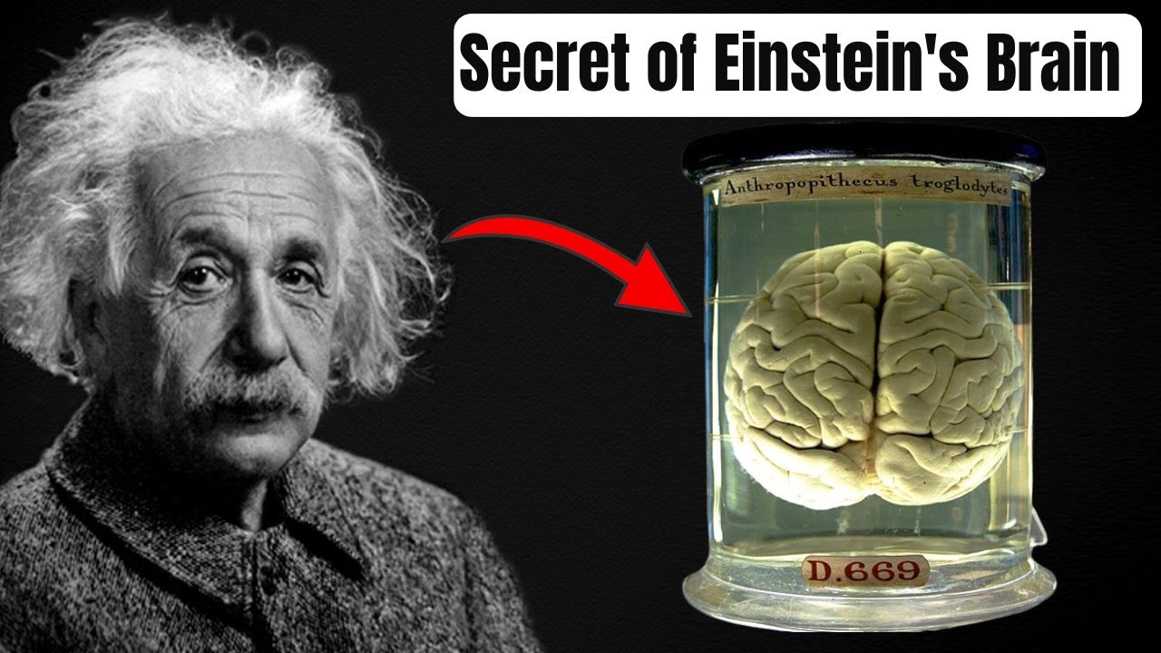 How Einstein's Brain was Different from Others ? | Secret of Einstein's Brain