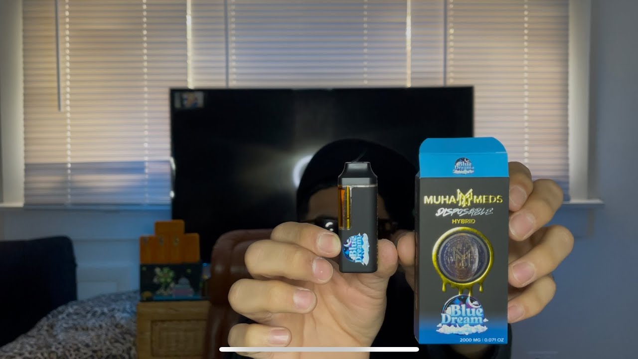 NEWEST Updated Muha Meds 2G Disposable Device/Review | Blue Dream ✨🌜