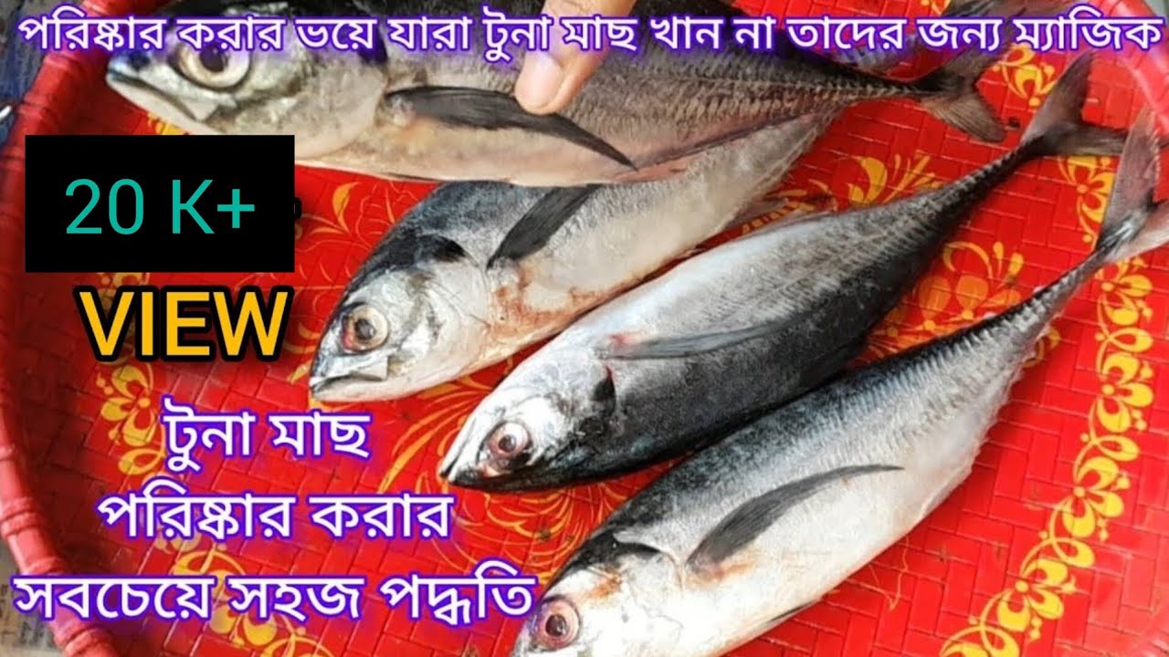 টুনা মাছ কাটা এবং পরিষ্কার করার সবচেয়ে সহজ পদ্ধতি / Tuna fish cutting and cleaning