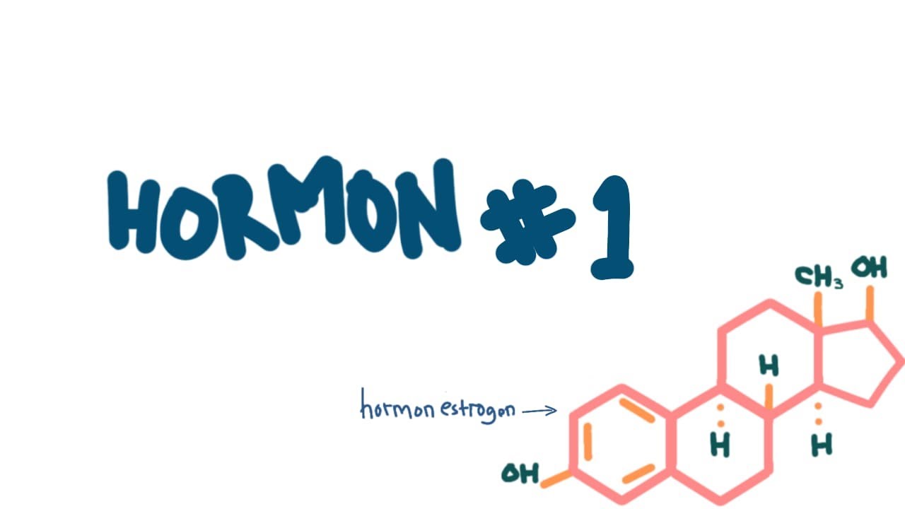 HORMON (1/3) [SISTEM ENDOKRIN, BASIC BIOMEDIK&FISIOLOGI]