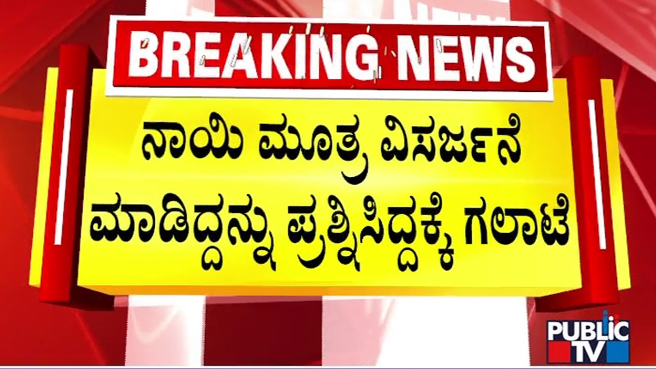ನಾಯಿ ಮಾಲೀಕನ ಮೇಲೆ ಹಿರಿಯ ನಾಗರಿಕರಿಂದ ಹಲ್ಲೆ | Varthur | Public TV