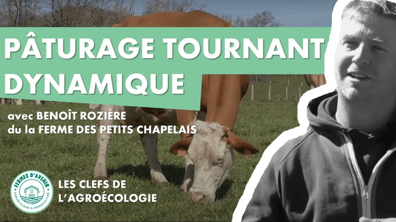 PATURAGE TOURNANT DYNAMIQUE avec le GAEC de la Borie Haute