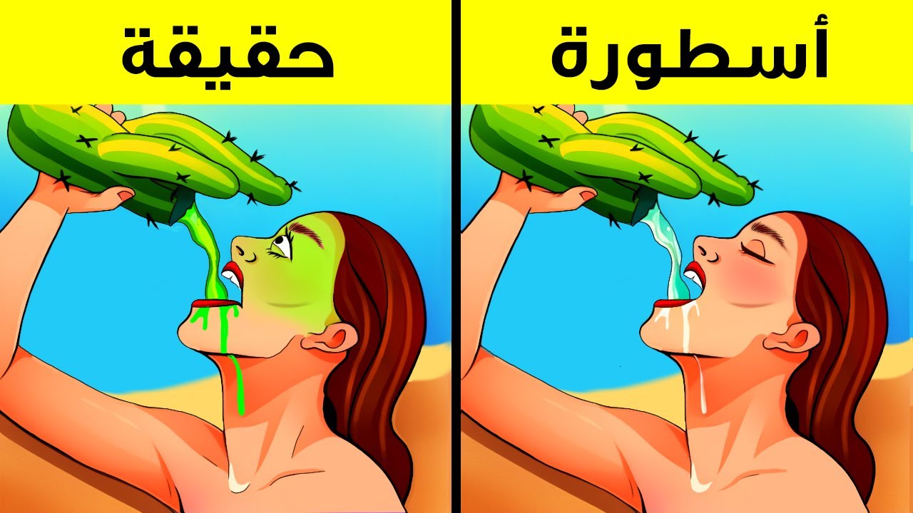 الحقائق التي أخبرونا عنها في المدرسة وثبت زيفها أمام اختبار الزمن