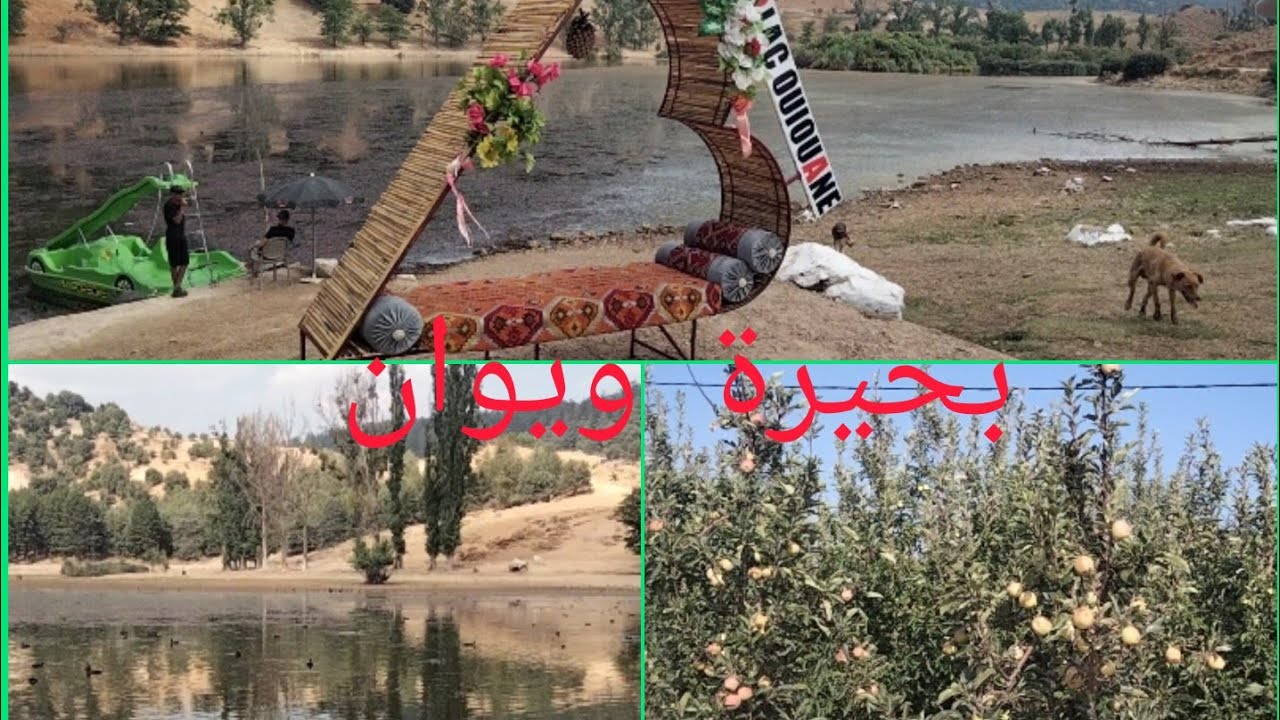 بحيرة ويوان🏞️طريق عين اللوح وأشجار الأرز الساحرة🌲🌲 وأشجار التفاح 🍎🍎جمال بين أحضان جبال الأطلس ⛰️⛰️