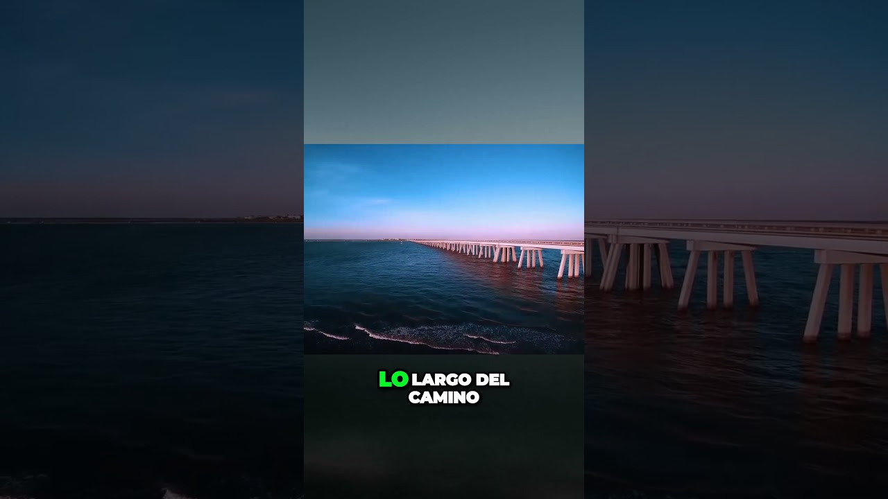 Playas contaminadas  &iexcl;Un ba&ntilde;o peligroso para tu salud!