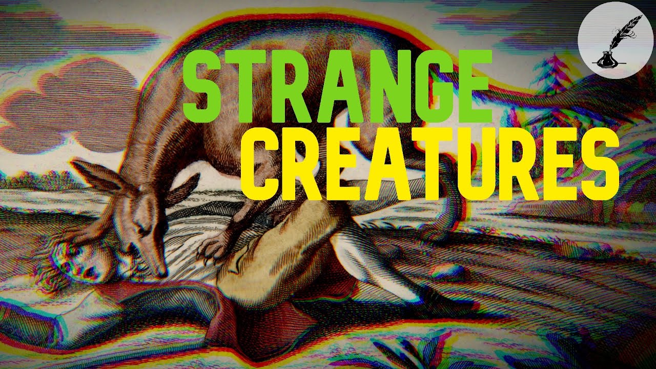 5 Strangest & Most Bizarre Creatures Ever Encountered
