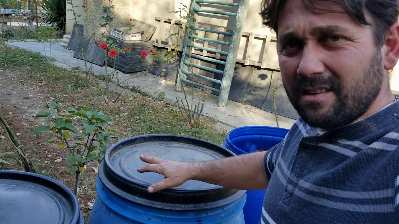 Как различить дозревшее вино от недозревшего)))
