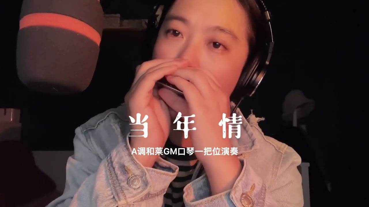 ＃北漂老妖＃口琴演奏 ：当年情