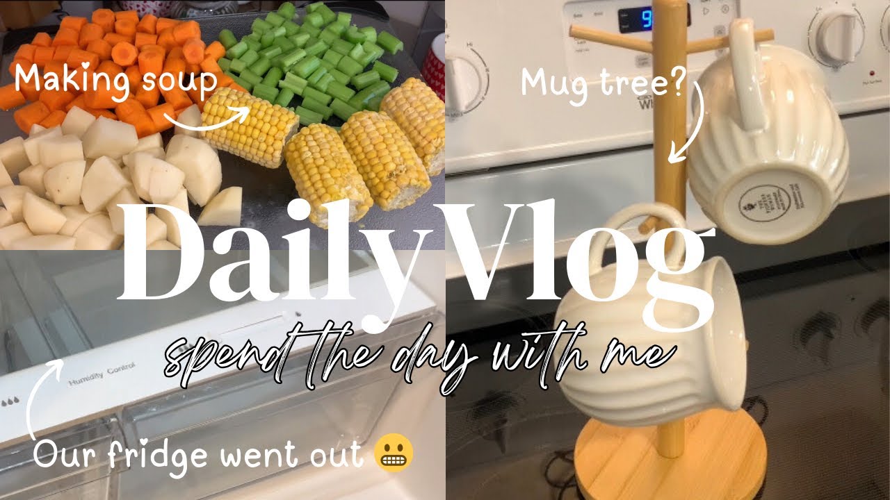❄️ A winter storm is coming!| Making chicken soup| New home decor and fridge| DITL