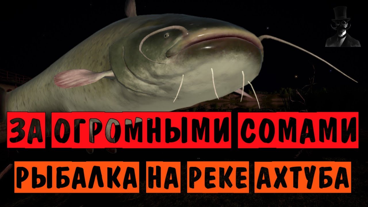За огромными сомами. Рыбалка на реке Ахтуба. Русская Рыбалка 4.