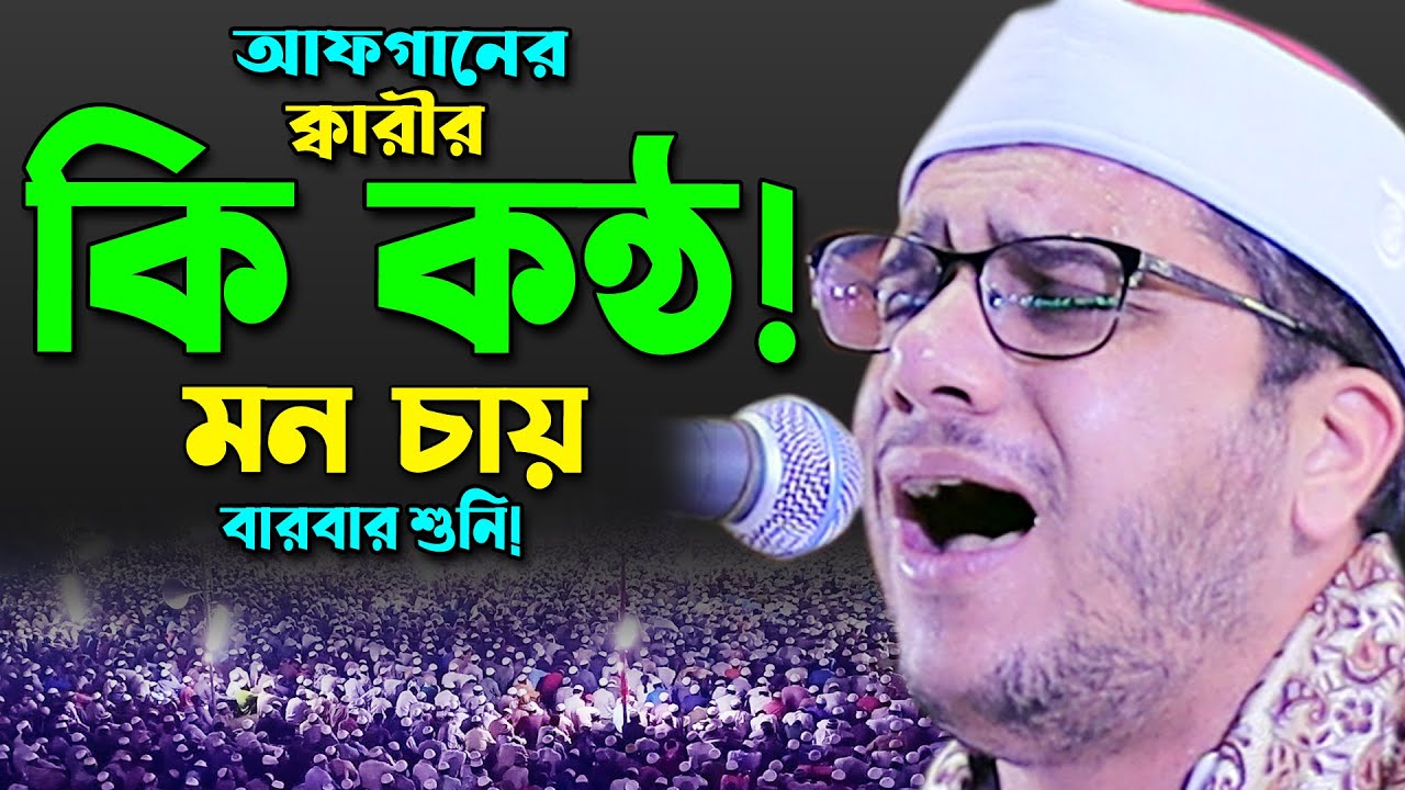 Afghan Qari Amazing Voice Quran Recitation by Ali Reza Rezaei। Emotional Quran Tilawat For crying