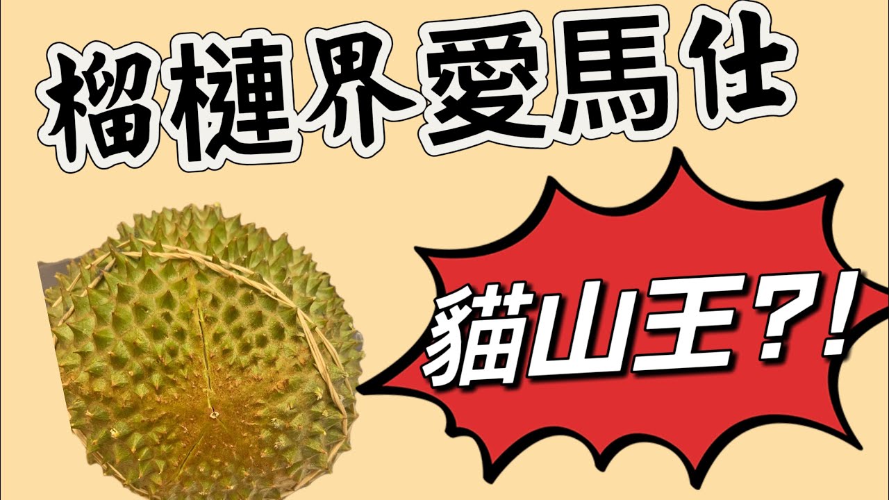 ✌️我心中的榴梿界爱马仕￼ 該給誰?! |人生第一颗猫山王| 马来西亚 树上熟榴梿|  CC字幕Taiwan |Malaysia Penang Durian |CC subtitles |