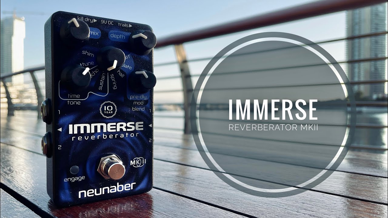 Neunaber Immerse Reverberator MkII 10 Year Special Edition | Demo and Jam