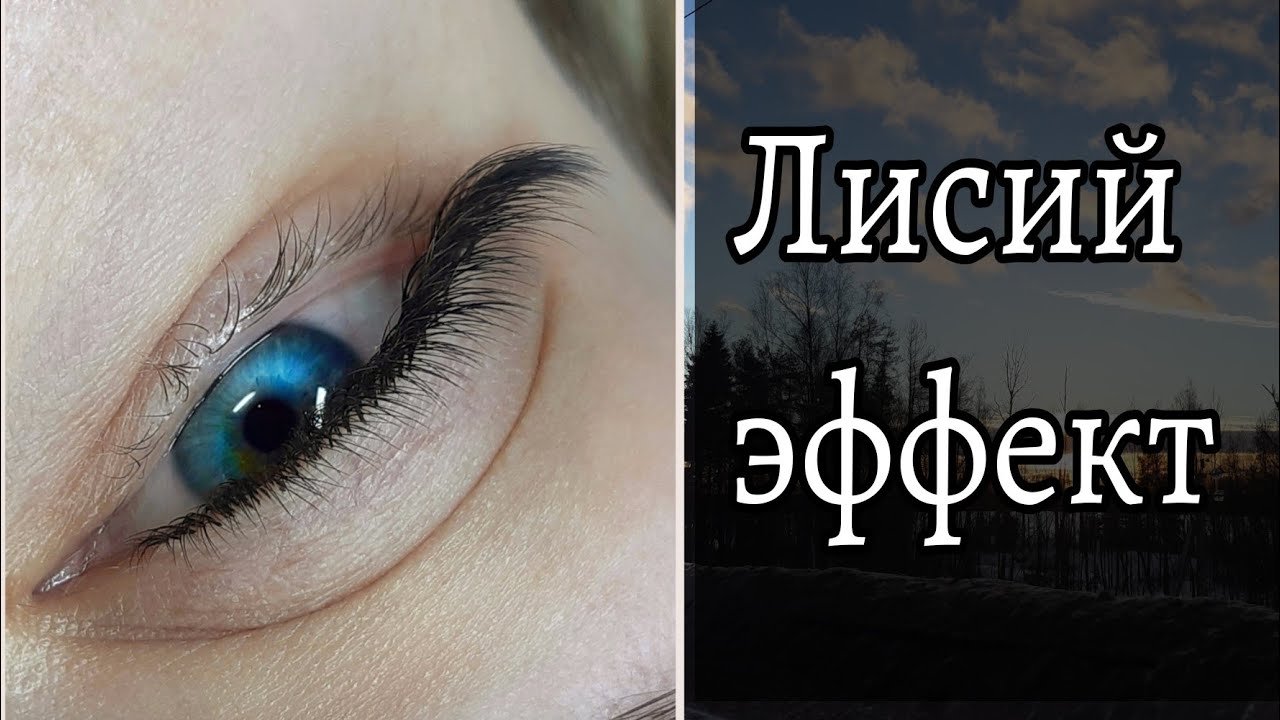 Лисий эффект