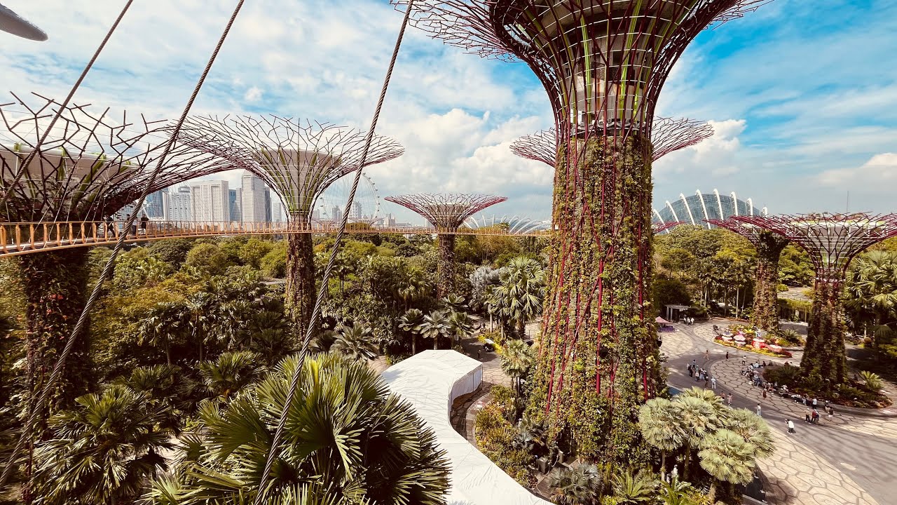 Singapore Sights