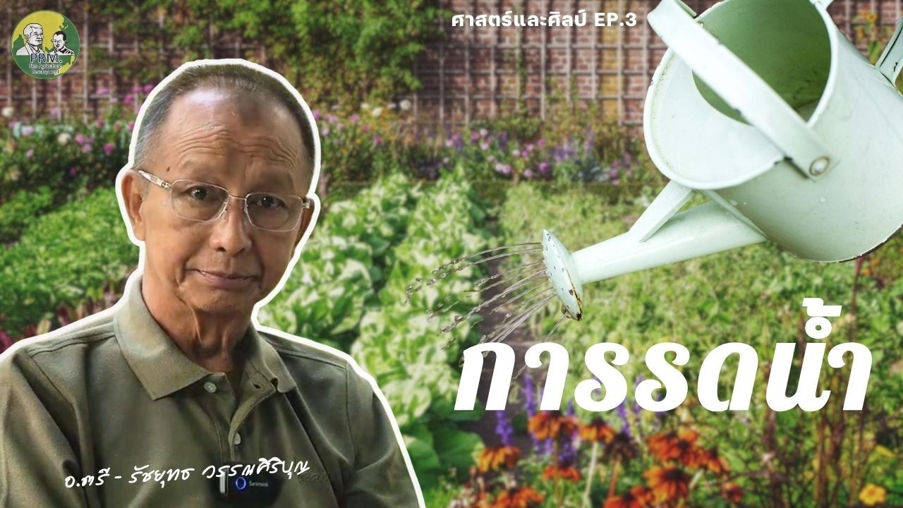 การรดน้ำ | ศาสตร์และศิลป์ EP.3
