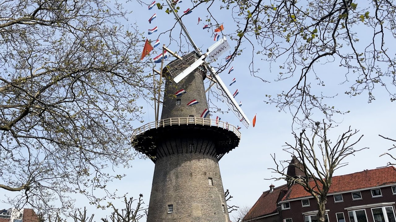 Zo vierde Schiedam Koningsdag in het Centrum, Kethel en de Gorzen: “Doe vandaag een heel rondje”